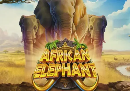 African Elephant